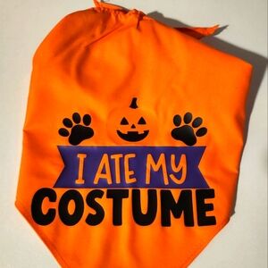 Halloween dog bandana